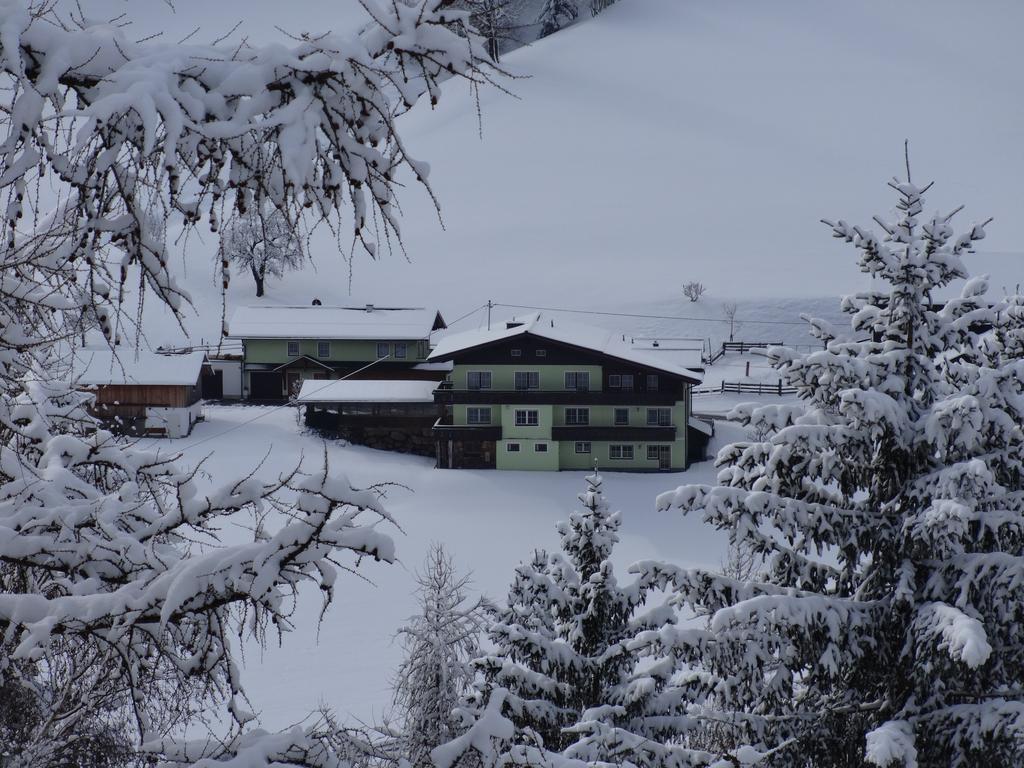 Appartement Greti Schladming Dış mekan fotoğraf