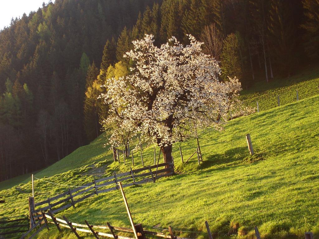 Appartement Greti Schladming Dış mekan fotoğraf