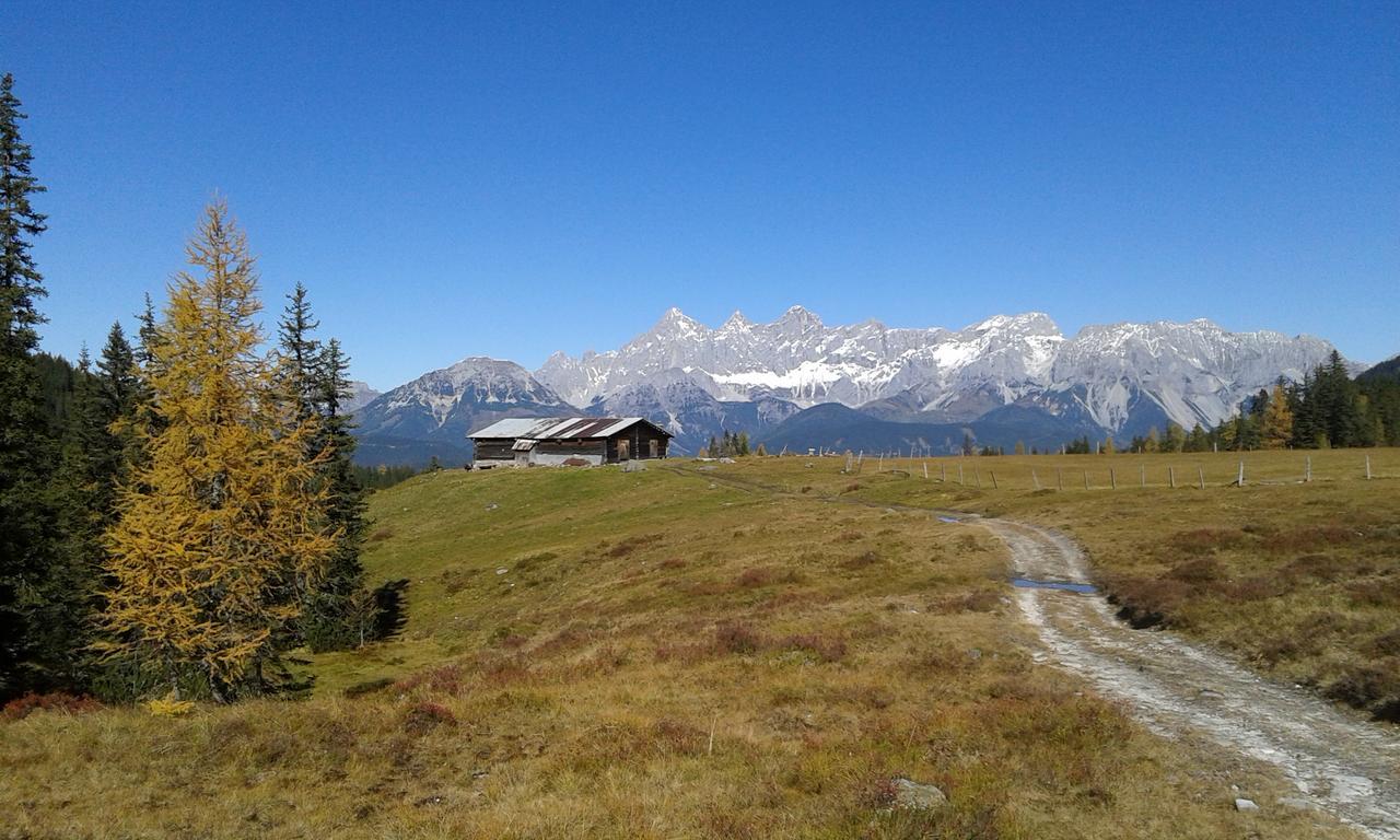 Appartement Greti Schladming Dış mekan fotoğraf